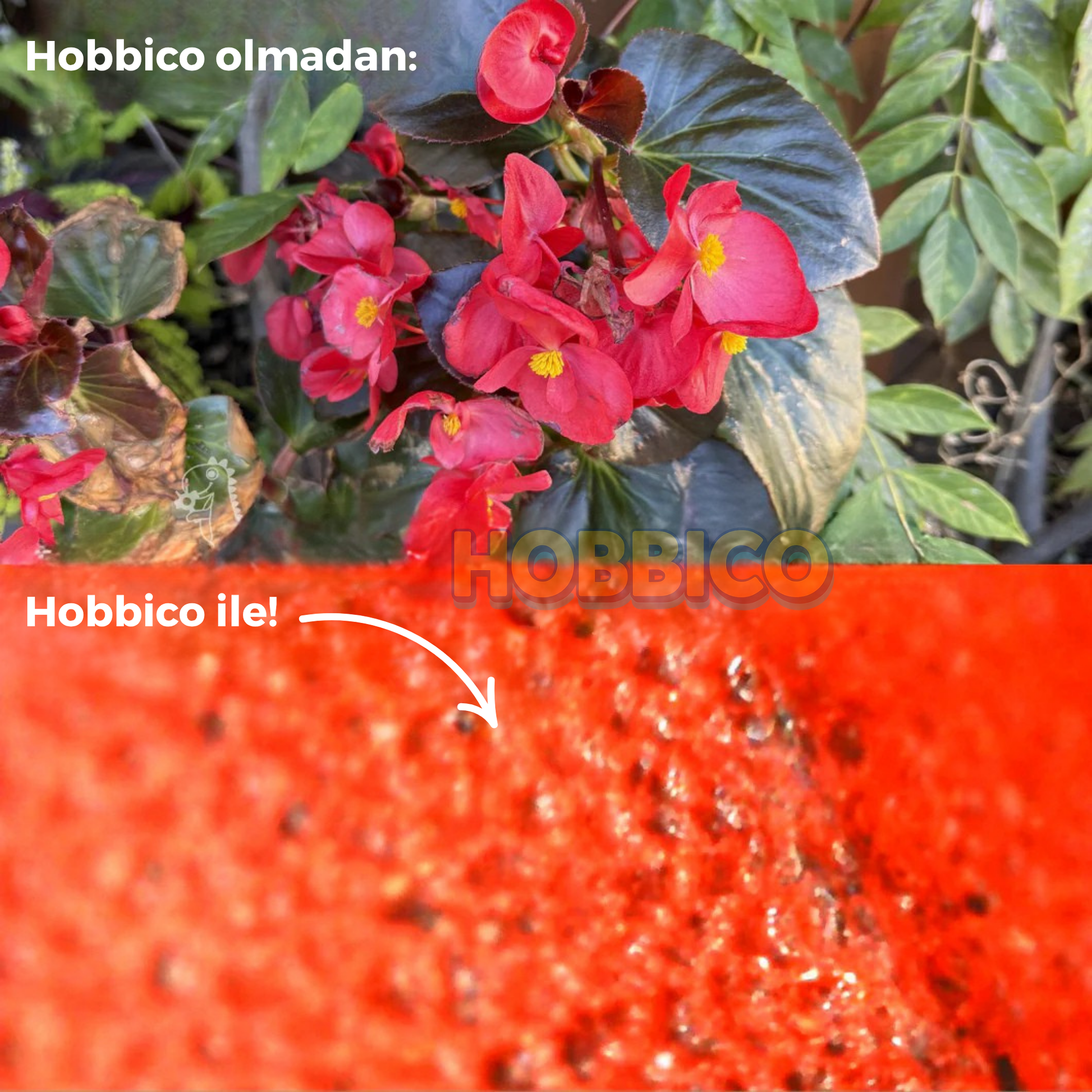 Hobbico mikroskop lam ve aksesuar seti